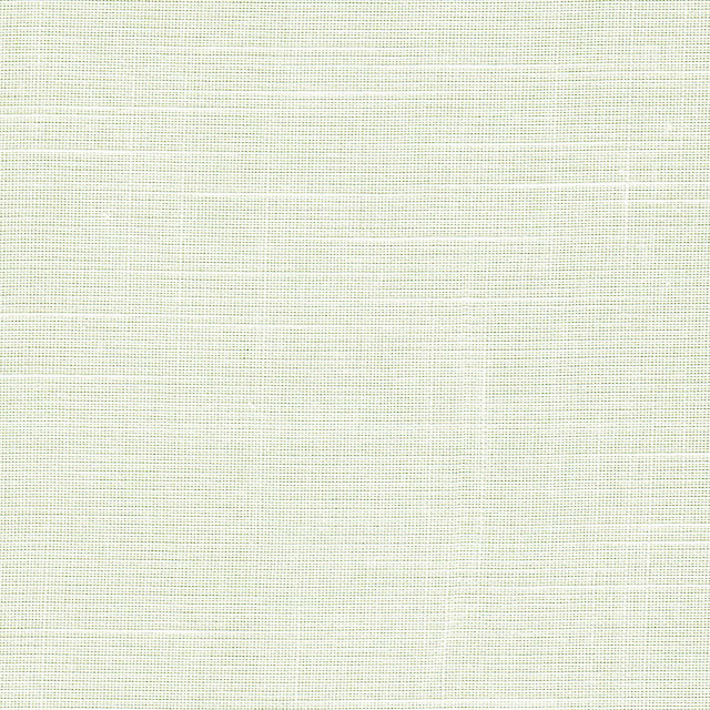 Vigo Ivory 01